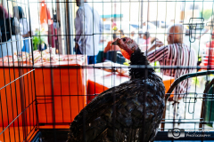 2019ThanksgivingBrunch-130-2-